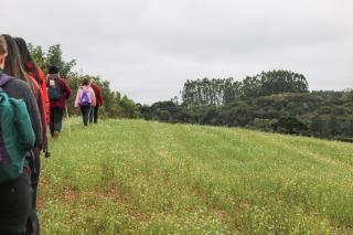 CAMINHADA NA NATUREZA (249)