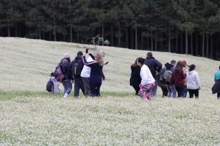 CAMINHADA NA NATUREZA (129)