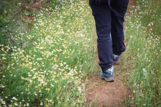 CAMINHADA NA NATUREZA (251)