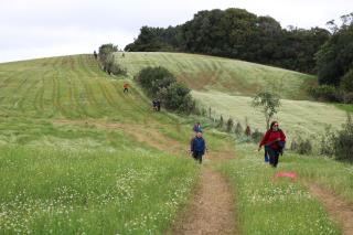 CAMINHADA NA NATUREZA (254)