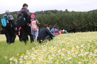 CAMINHADA NA NATUREZA (138)