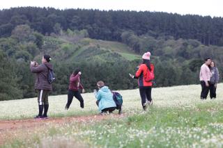 CAMINHADA NA NATUREZA (120)