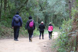 CAMINHADA NA NATUREZA (222)