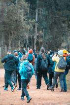 CAMINHADA NA NATUREZA (90)