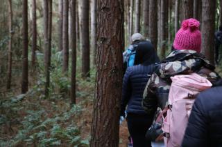 CAMINHADA NA NATUREZA (150)