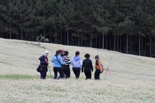CAMINHADA NA NATUREZA (124)
