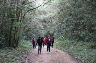 CAMINHADA NA NATUREZA (225)