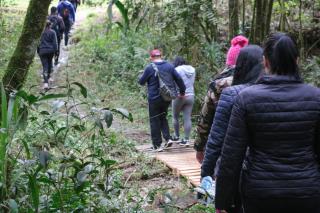CAMINHADA NA NATUREZA (154)