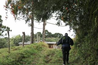CAMINHADA NA NATUREZA (203)