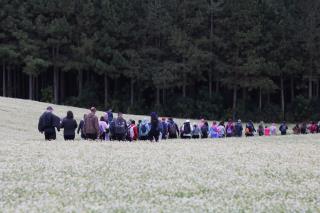 CAMINHADA NA NATUREZA (125)