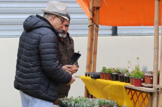 CAMINHADA NA NATUREZA (283)