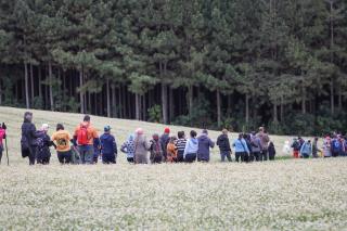 CAMINHADA NA NATUREZA (126)