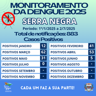 Monitoramento da dengue 1º12025 a 272025