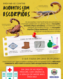 Posts Prefeitura de Serra Negra (13)
