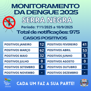 Monitoramento da dengue 1º12025 a 2372025 (3)