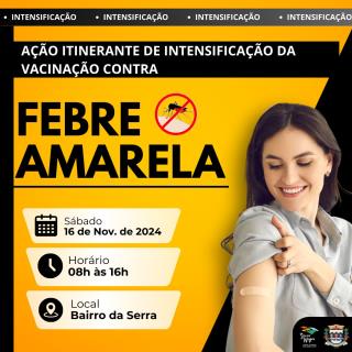 14-11-2024 Febre Amarela