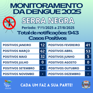 Monitoramento da dengue 1º12025 a 2372025 (1)
