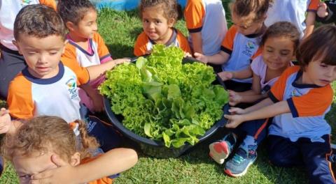 15-05-2025 Projeto Horta nas Escolas_EMEB professora Rosalba Perondini Salomão(2)