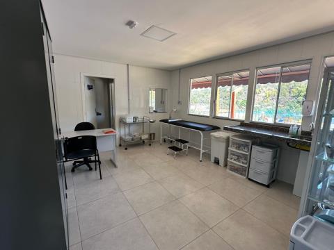 02-09-2025 ESF Dr. Francisco Louzada Porto Alves(126)