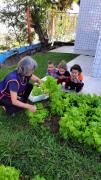 IMG-20250516-WA0026