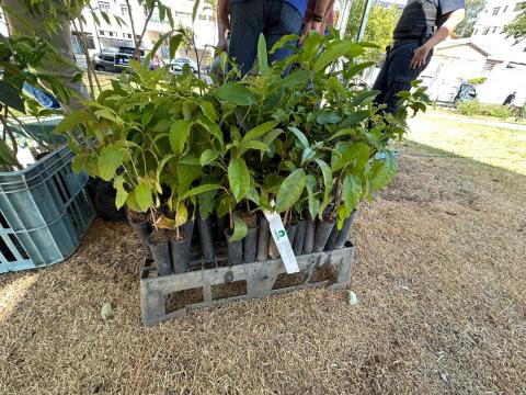 IMG-20250921-WA0339-DESKTOP-4DLKV26