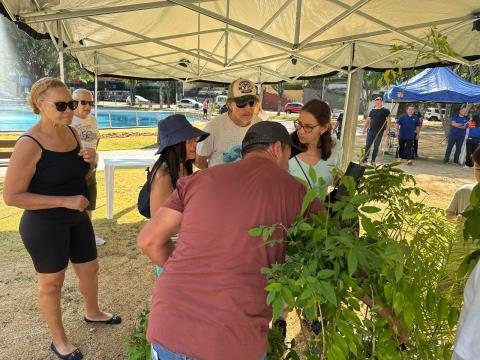 IMG-20250921-WA0349-DESKTOP-4DLKV26