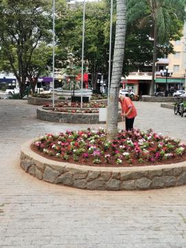 28-01-2025 Replantio de sunpatiens Praça Barão do Rio Branco(2)