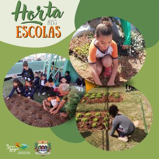 Horta nas Escolas(2)