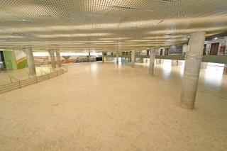IMG-20241122-WA0003
