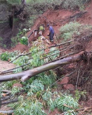 WhatsApp Image 2026-02-11 at 12.34.13