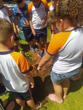 WhatsApp Image 2025-12-04 at 19.27.38