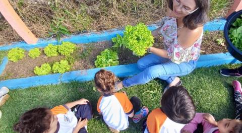 15-05-2025 Projeto Horta nas Escolas_EMEB professora Rosalba Perondini Salomão(3)