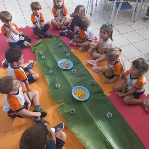 Imagem do WhatsApp de 2025-04-24 à(s) 16.58.46_c467a293