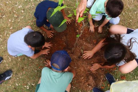 IMG_8939-DESKTOP-4DLKV26