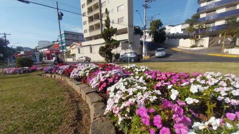 06-10-2025 flores_florida(9)