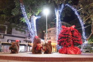 27-11-2024 Natal Luzes da Serra_decoração-Praça Prefeito João Zelante(4)