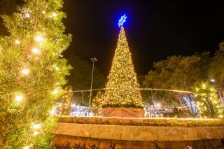 27-11-2024 Natal Luzes da Serra_decoração-Praça Prefeito João Zelante(10)