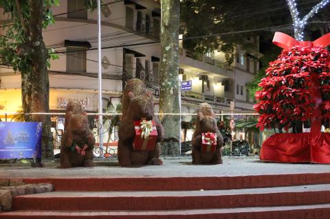 Praça Prefeito João Zelante(1)