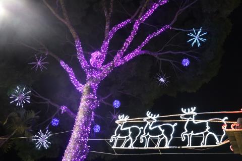 Fonte Norma Testa Filippi(1)