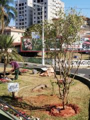 IMG-20230811-WA0022