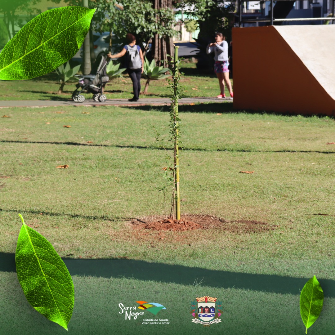 446936012_861818569311682_1801236556006034702_n