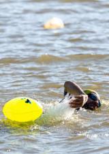 28-09-2025 Camp_Treinamento Equipe Triatlon_Santa Lídia(1)