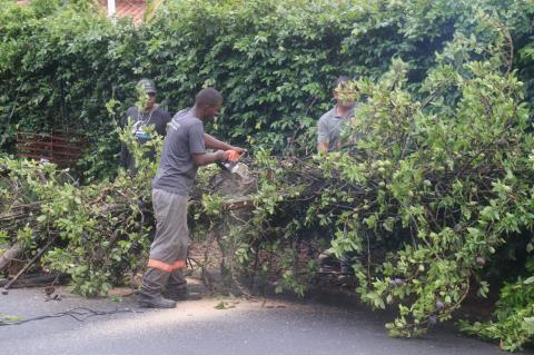 5-11-2025 Chuvas Rua José Pinton(23)