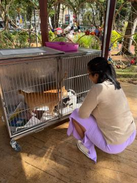 25-07-2026  Feira de Adoção de Animais (9)