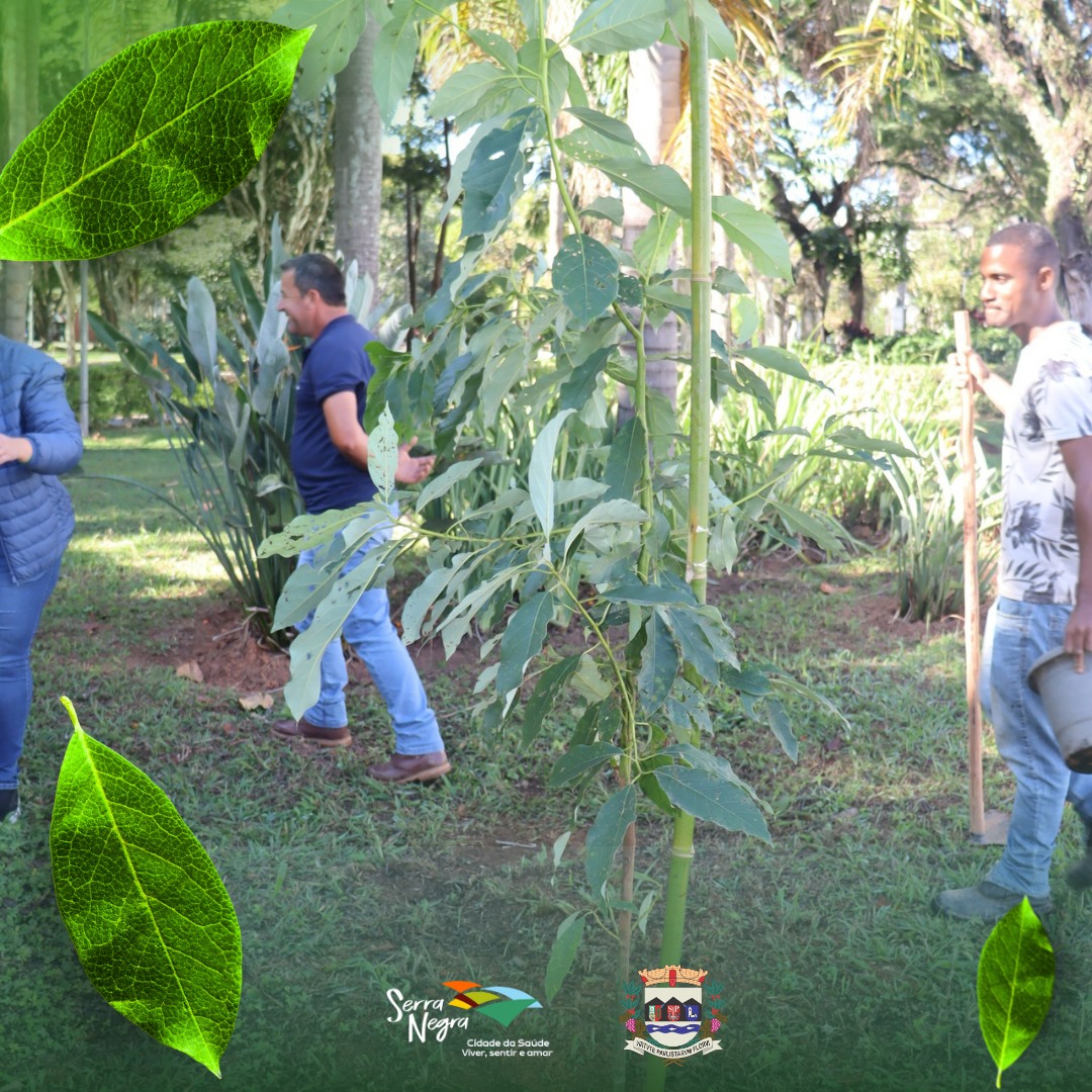 447190803_861818565978349_4515790240641645600_n