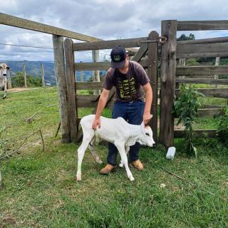 21-11-2024 Programa Pecuária + Brasil melhoramento genético(4)