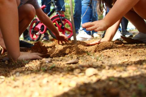 IMG_8970-DESKTOP-4DLKV26