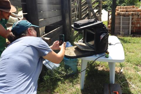 09-01-2024 Programa + Pecuária Brasil_Melhoramento genético(22)