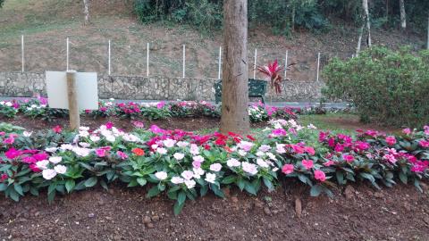 06-10-2025 flores_florida(12)