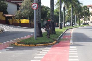 06-11-2024 Avenida Juca Preto-Parques e Jardins-zeladoria(5)